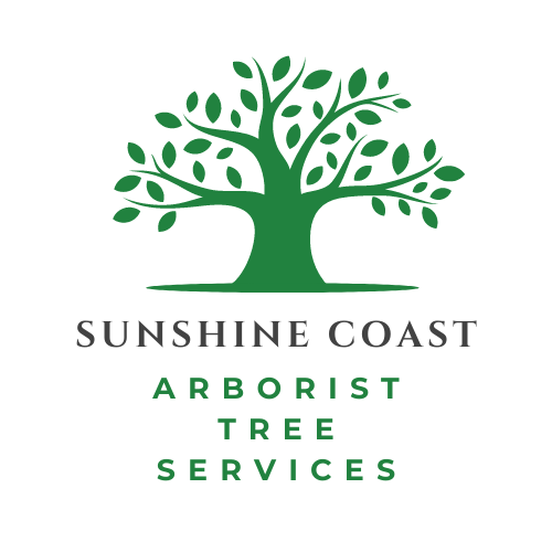 Sunshine Coast Tree Lopping Services