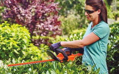 How to Quote Hedge Trimming