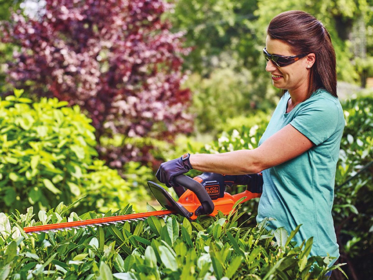 How to Quote Hedge Trimming