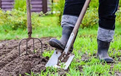 A Complete Spring Yard Cleanup Checklist