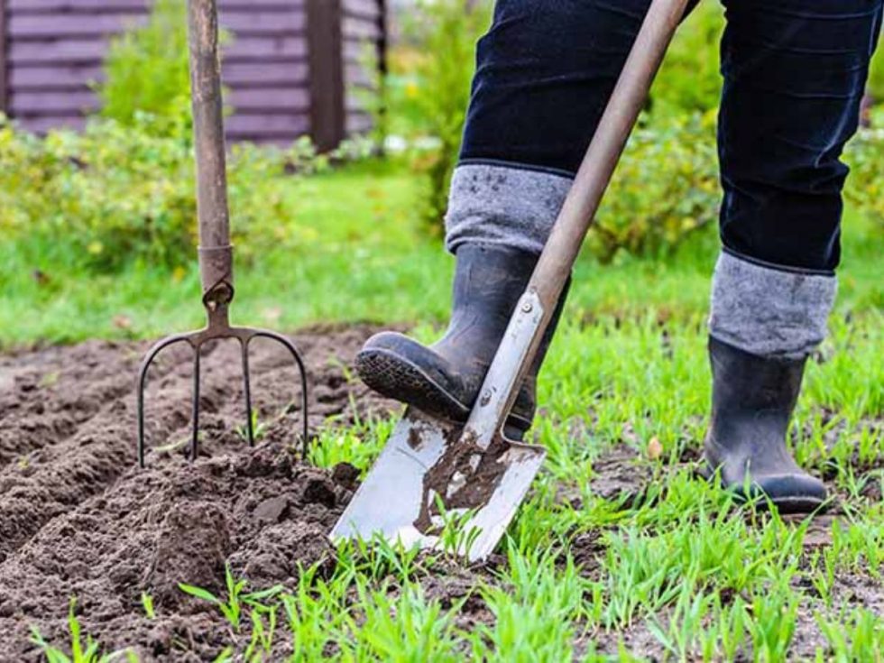 A Complete Spring Yard Cleanup Checklist