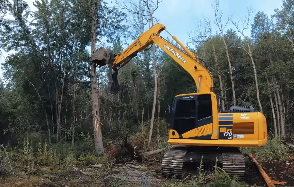 Does Tree Removal Always Require The Use Of Heavy Equipment